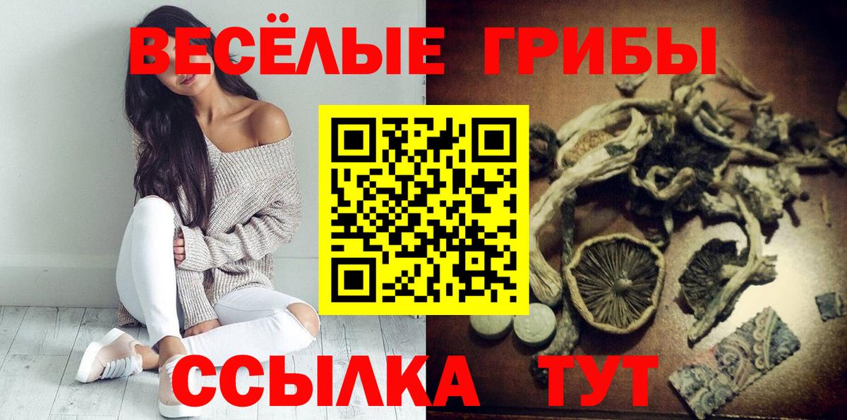 Калач-на-Дону  Псилоцибиновые грибы Cubensis  Псилоцибиновые грибы Psilocybe  Вход с VPN 